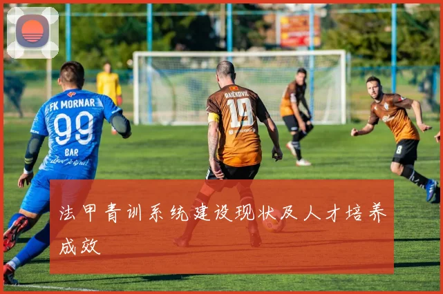 法甲青训系统建设现状及人才培养成效
