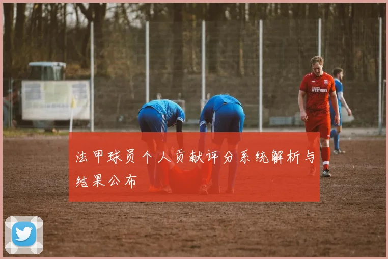 法甲球员个人贡献评分系统解析与结果公布