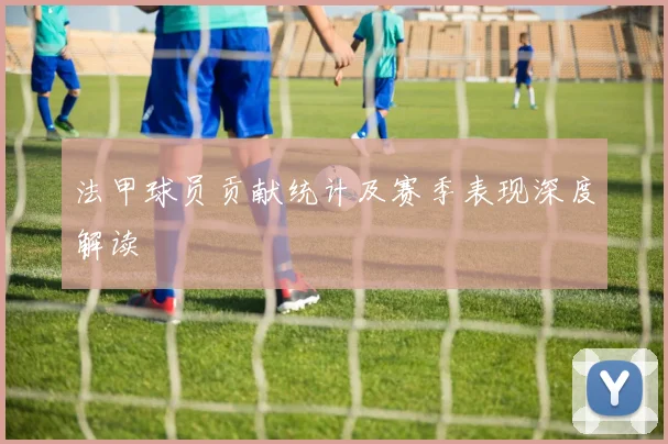 法甲球员贡献统计及赛季表现深度解读