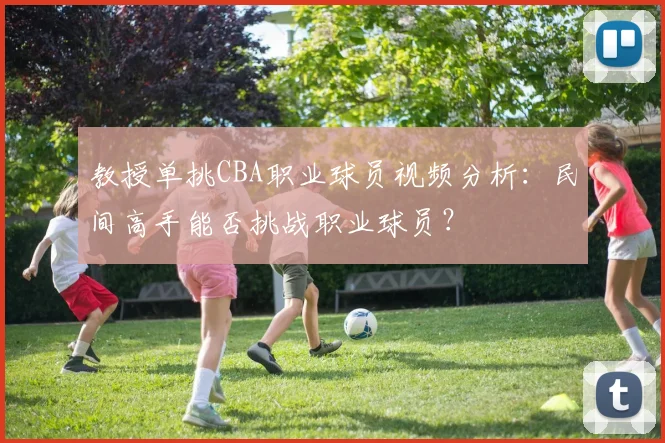 教授单挑CBA职业球员视频分析：民间高手能否挑战职业球员？